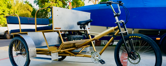 Precision 6 seater pedicab on sale